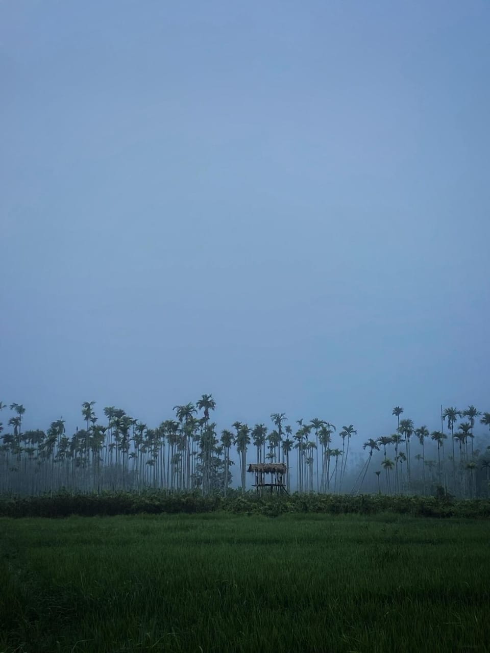 Keloth Tharavadu Vacation rental in Kerala