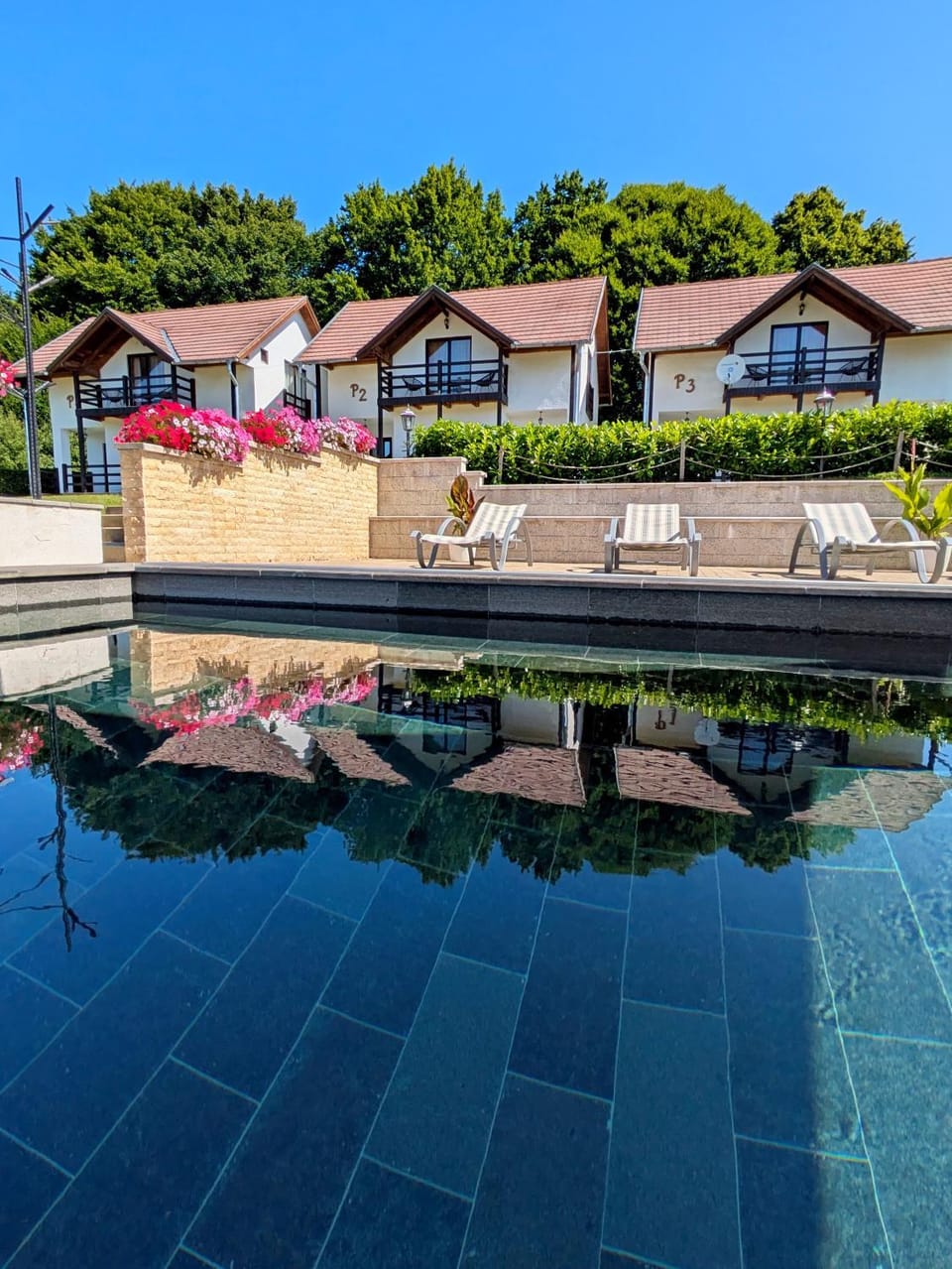 Property building, Natural landscape, Swimming pool