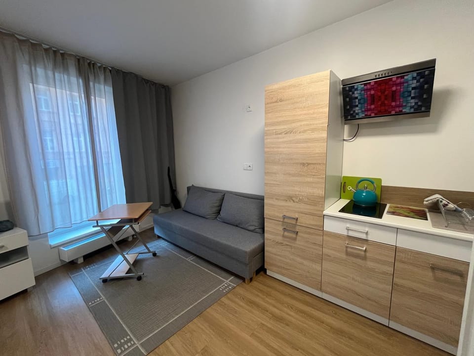 Apartment Brno centrum with private parking Apartment in Brno