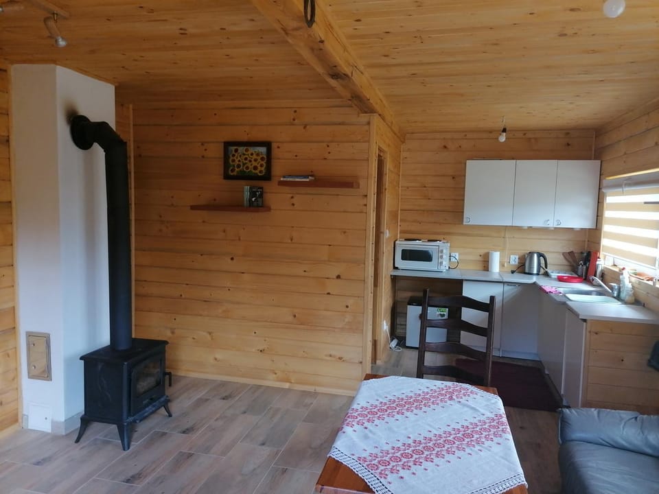 Kitchen or kitchenette, Living room, Seating area, Dining area