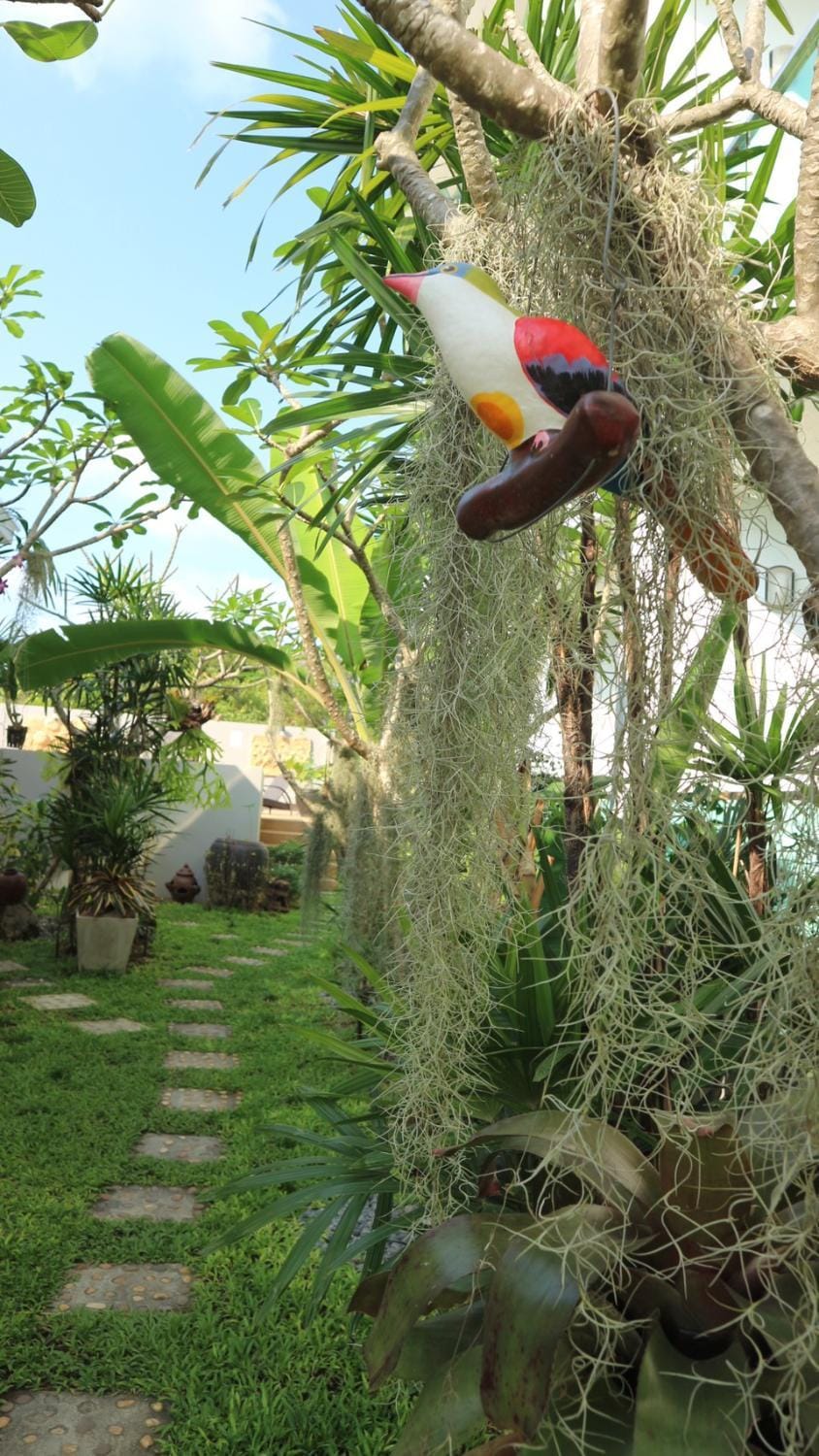 The Tree Samui Capsule hotel in Ko Samui