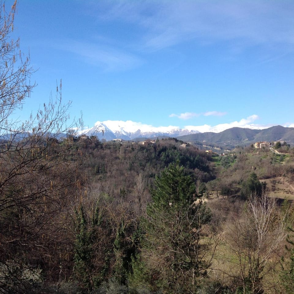 View (from property/room)