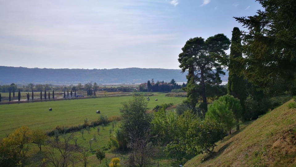 Natural landscape, Garden, Garden view