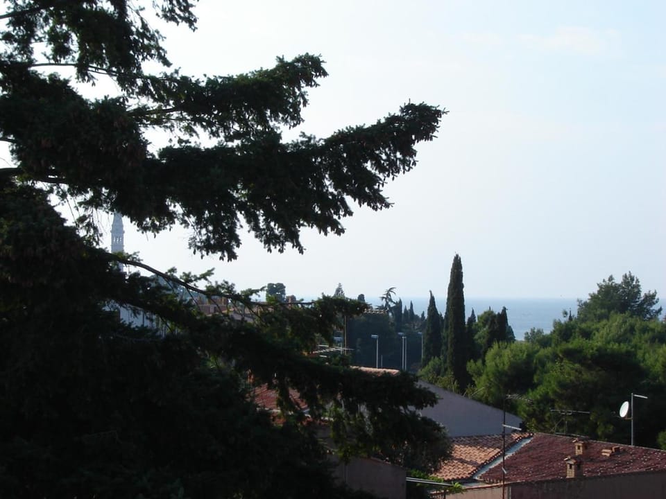Apartment Diana Apartment in Rovinj
