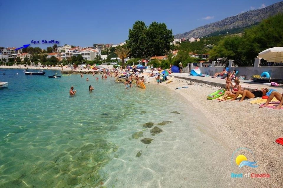 People, Activities, Lounge or bar, Beach, Family