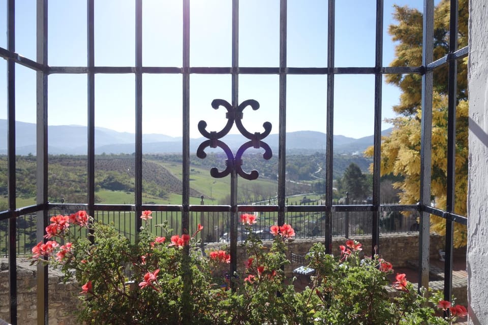 Mountain view