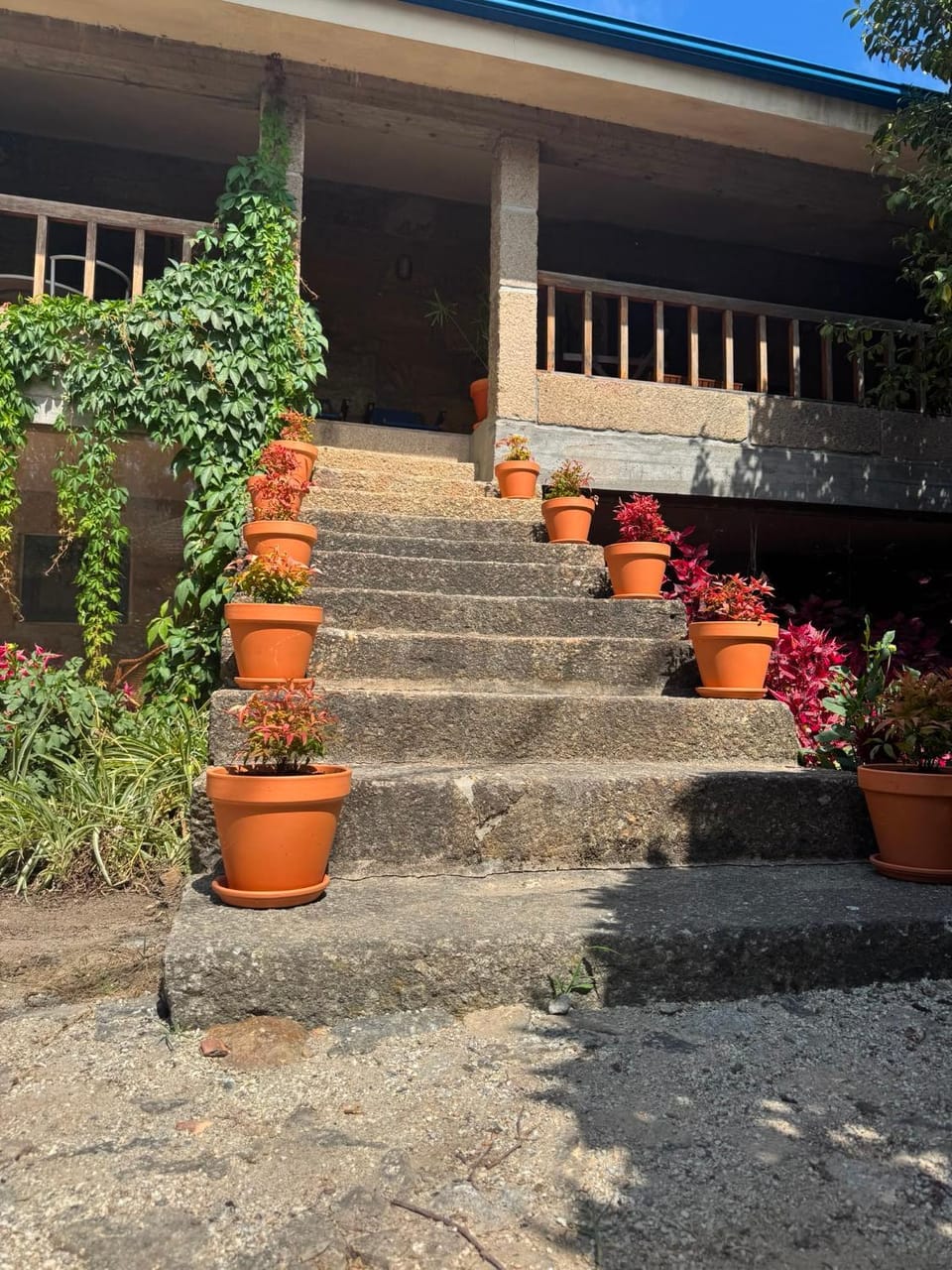 Property building, Patio, Garden