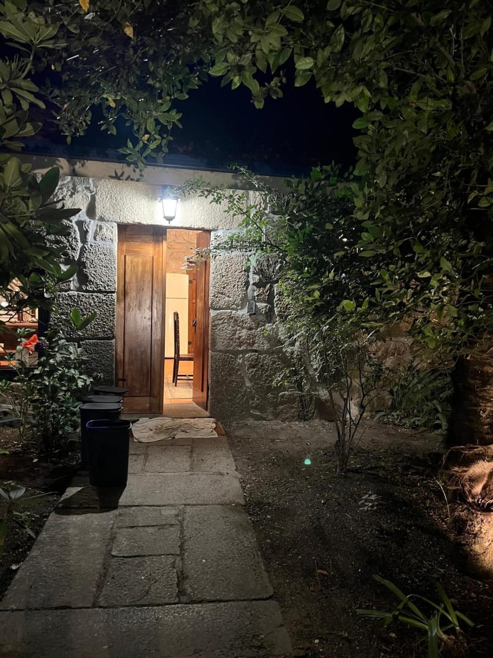 Property building, Night, Garden, Garden view