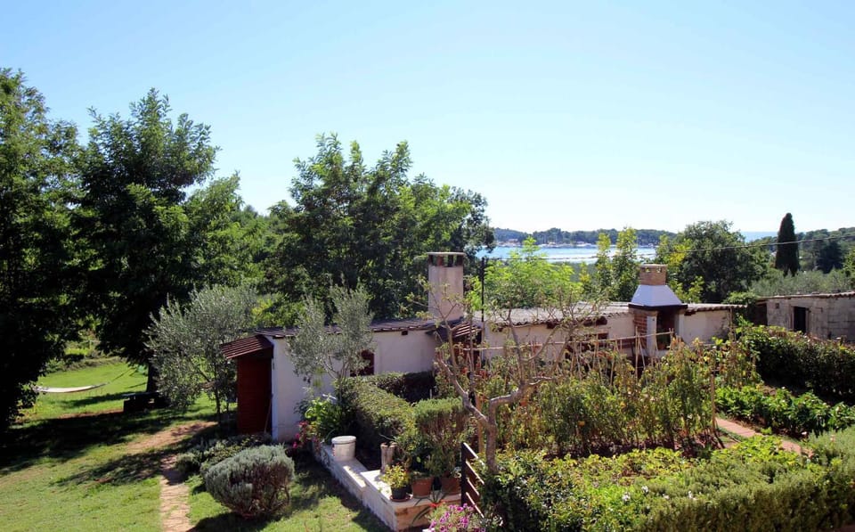 Nearby landmark, Summer, Garden