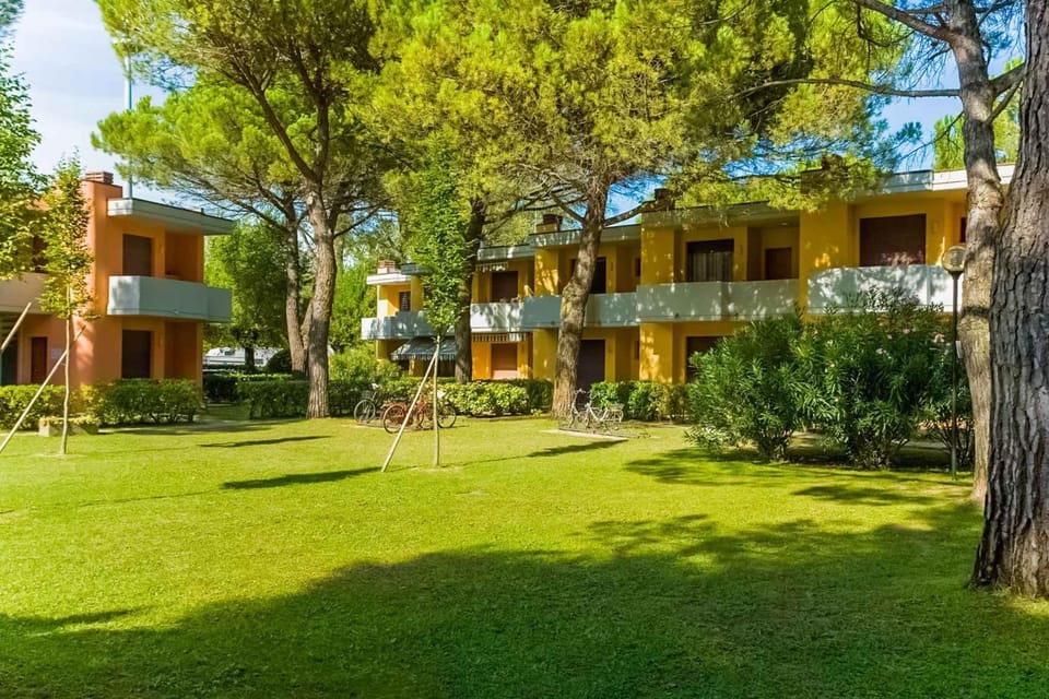 Property building, Summer, Garden