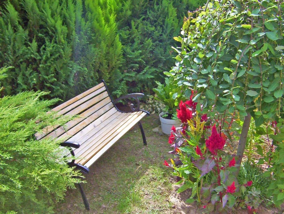 Summer, Garden