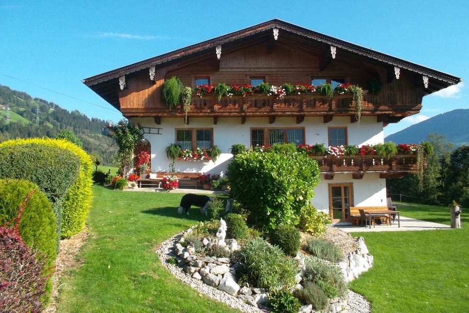 Property building, Garden, Garden view