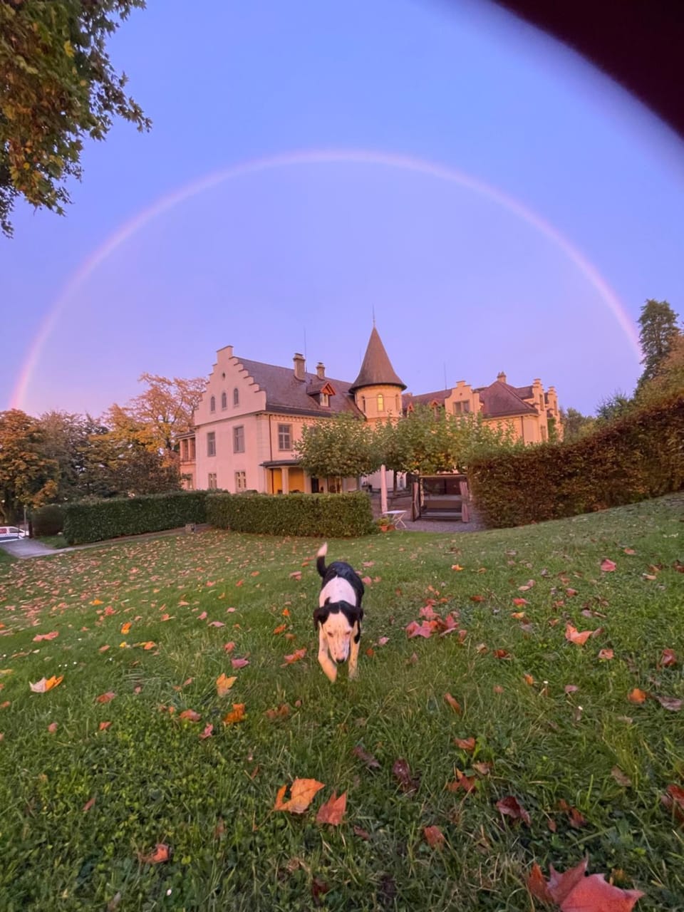 Schloss Brunnegg Hotel in Baden-Württemberg