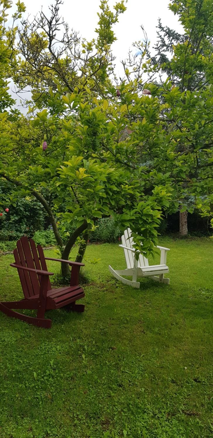 Garden view