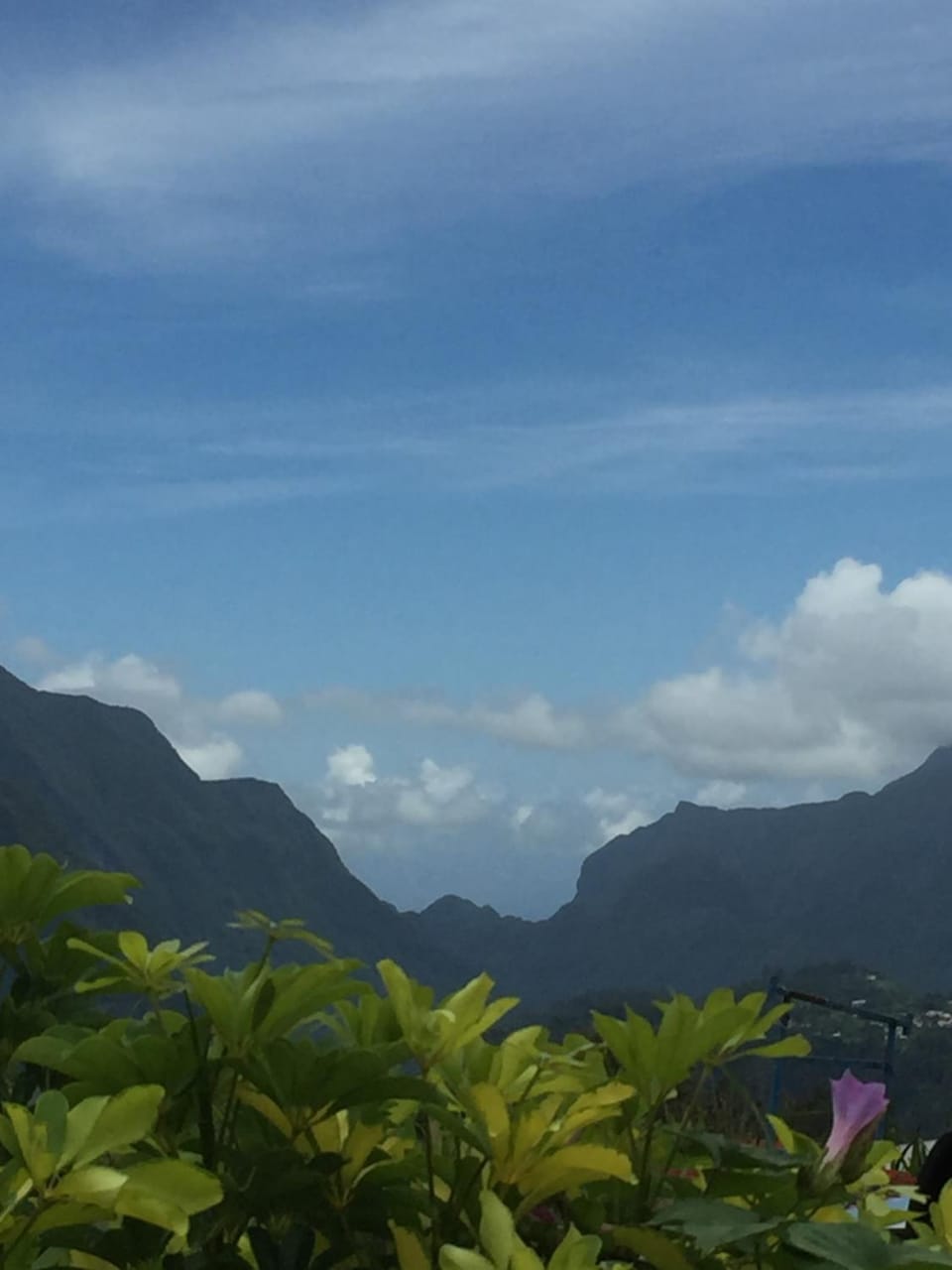 View (from property/room)