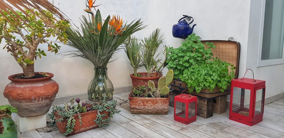 Balcony/Terrace