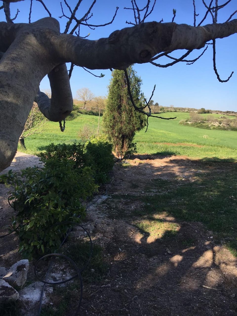 B&B NUZZI Apartment in Basilicata