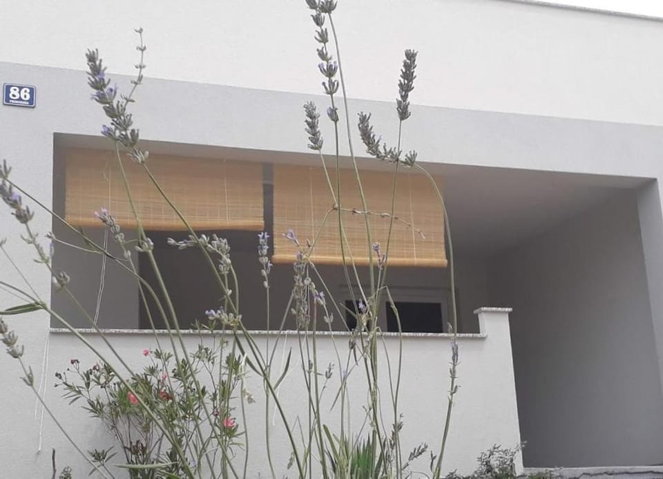 Luciana Apartment in Zadar County