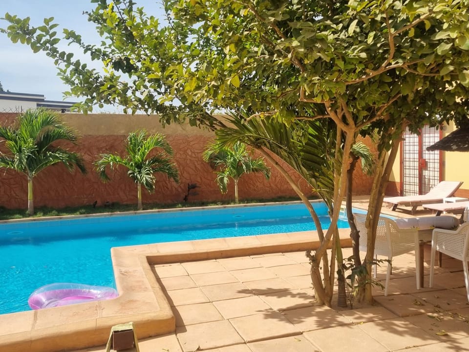 Garden, Garden view, Swimming pool