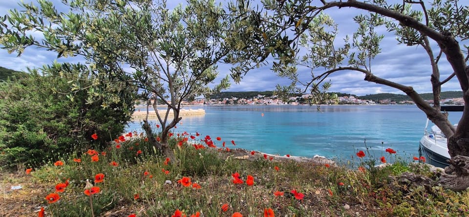Spring, Beach, Sea view