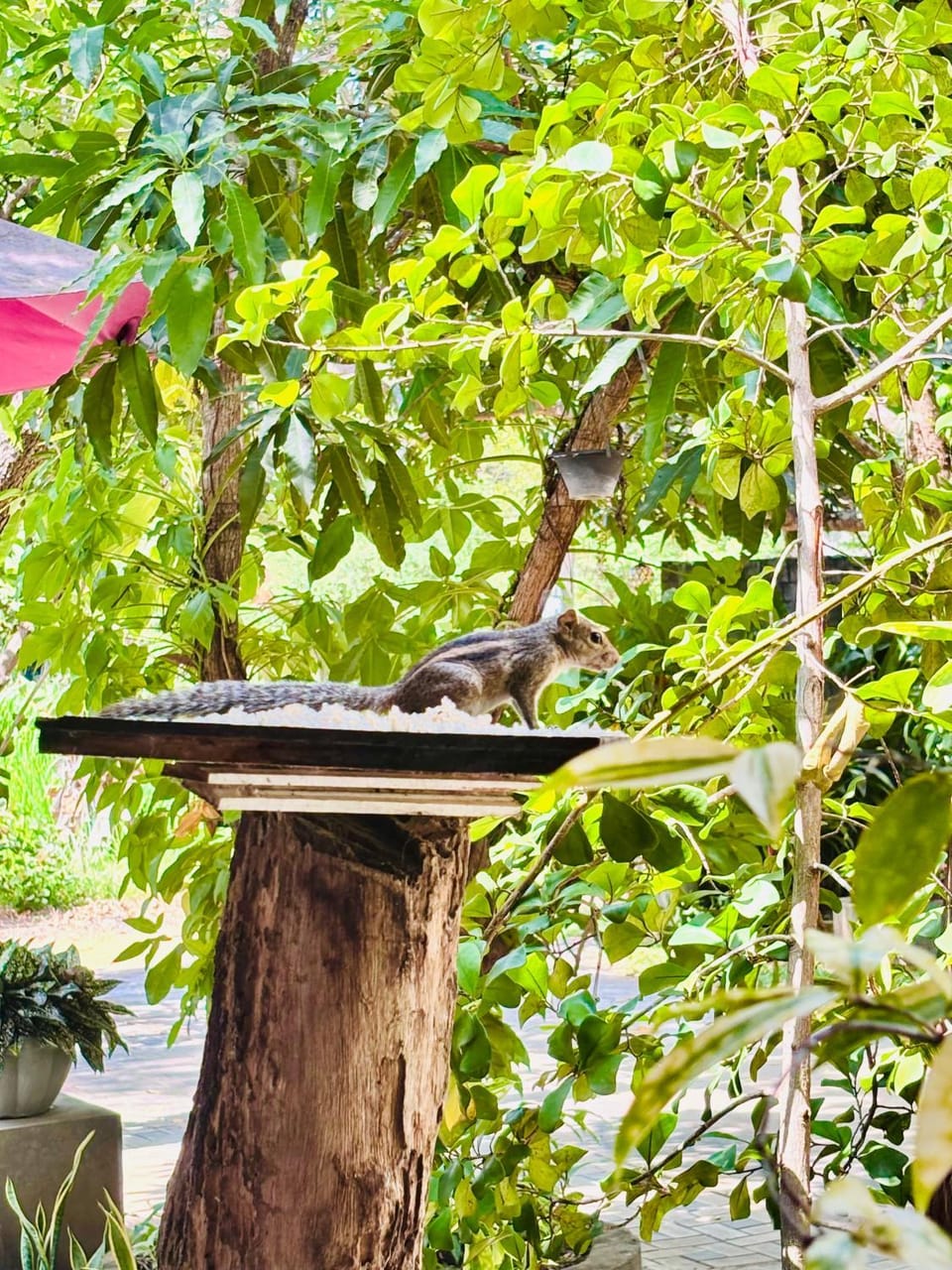 Bangalawa Resort Hotel in Sri Lanka