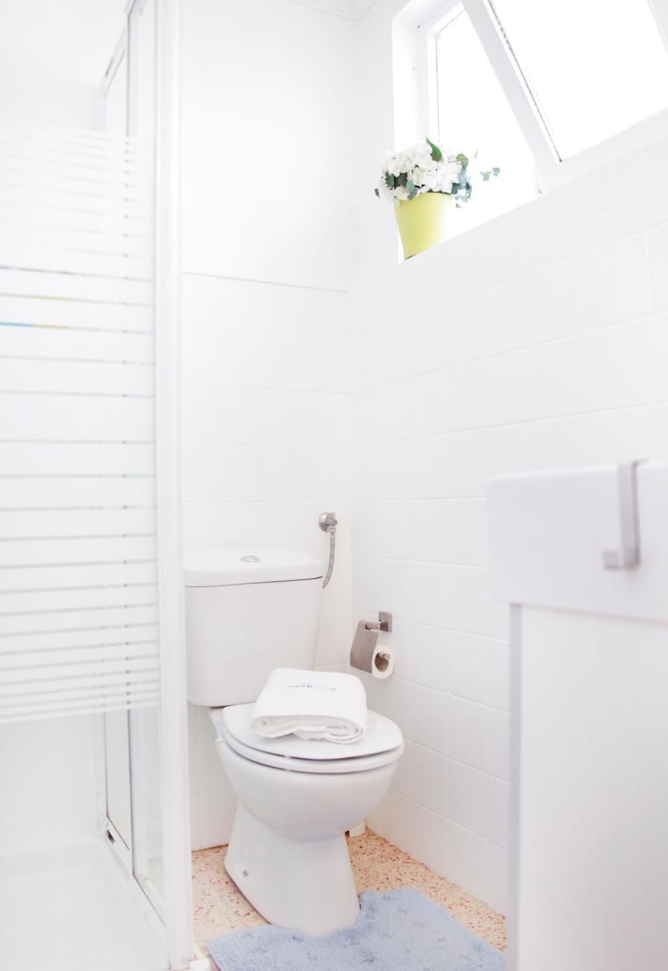 Shower, Toilet