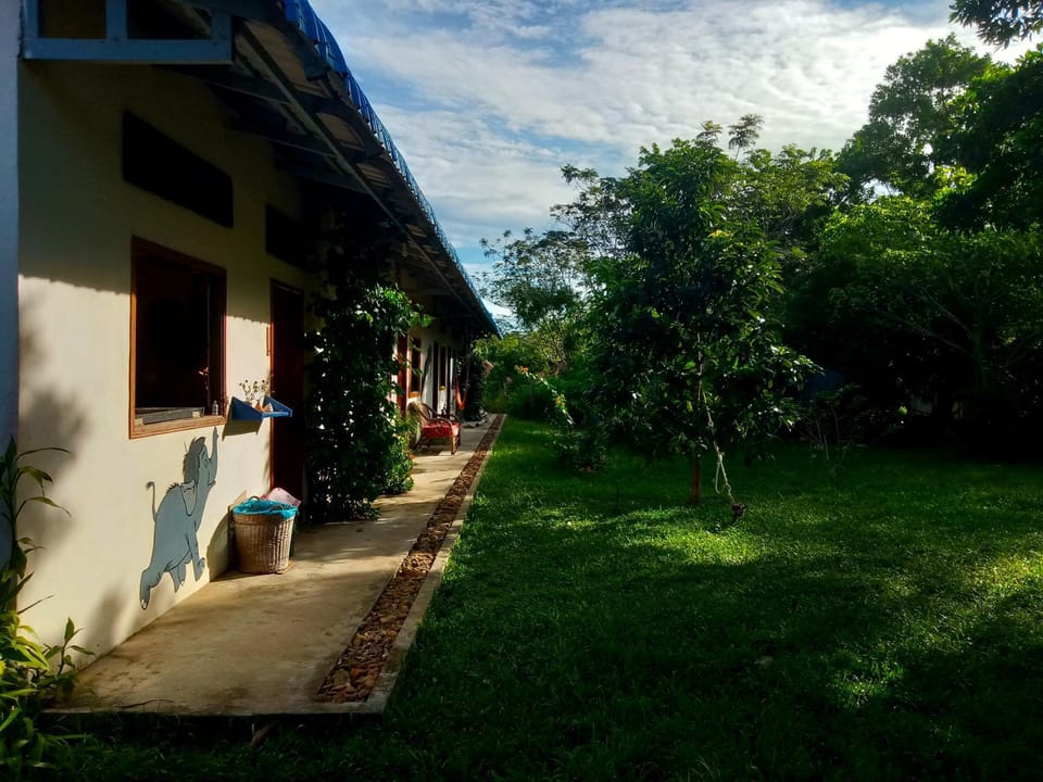 Property building, Garden, Garden view