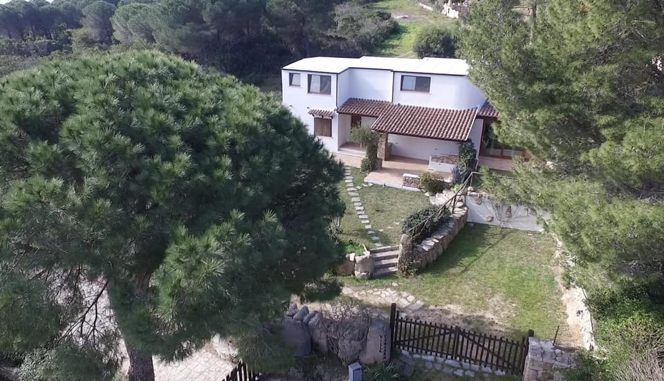 Bird's eye view, Garden view