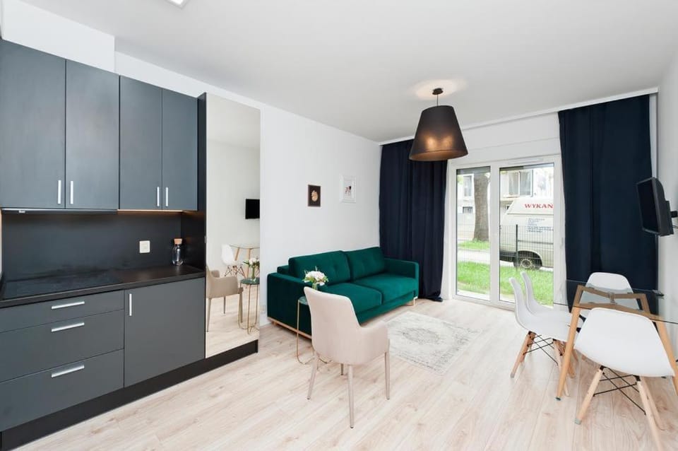 Kitchen or kitchenette, Living room, stove