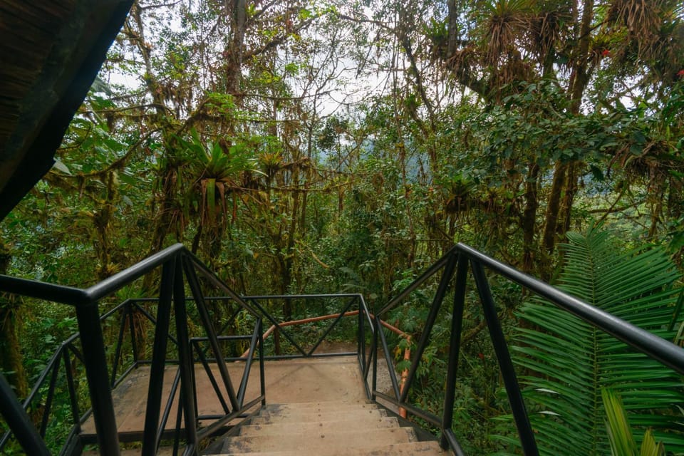 Natural landscape