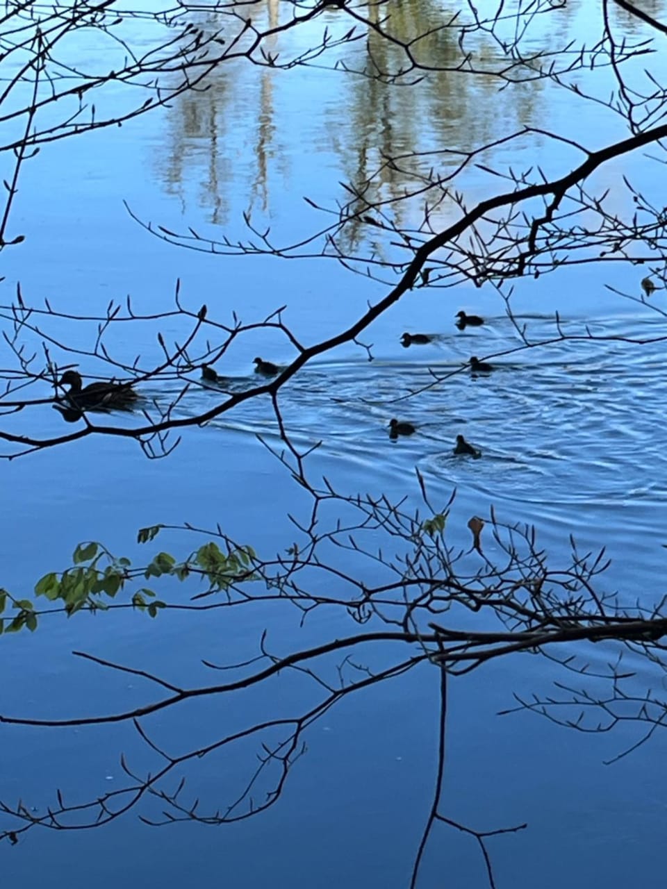 Natural landscape