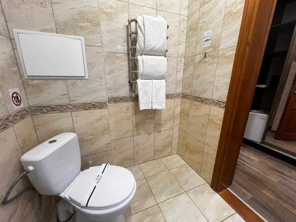 Toilet, Bathroom, towels