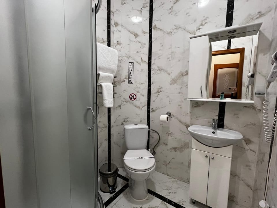 Shower, Toilet, bidet, towels