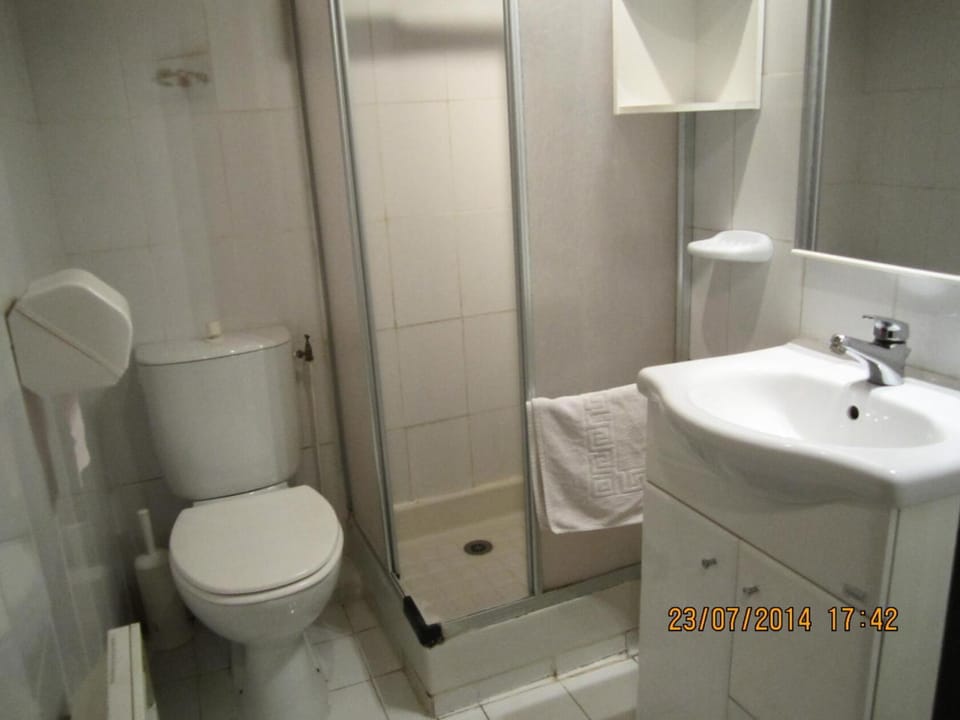 Shower, Toilet, Bathroom, bidet