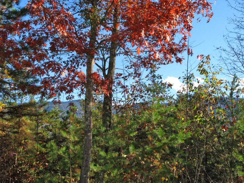 Natural landscape, Autumn, Mountain view