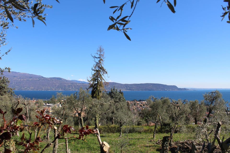 Lake view