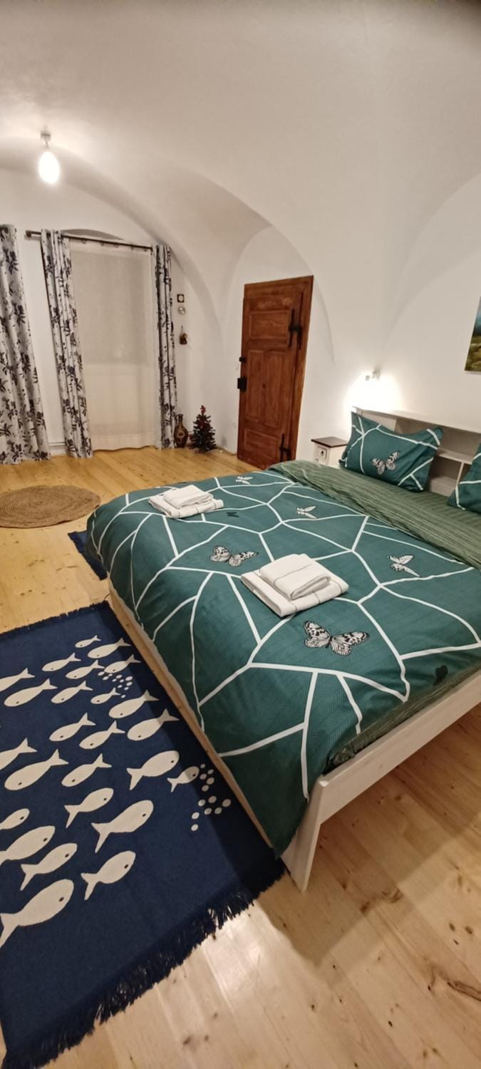 Ica House Central Apartment in Sibiu