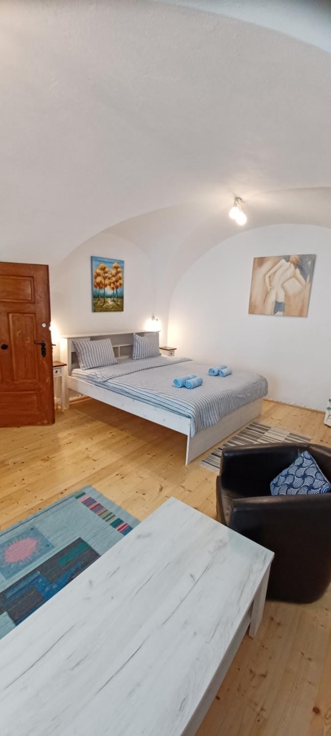Ica House Central Apartment in Sibiu
