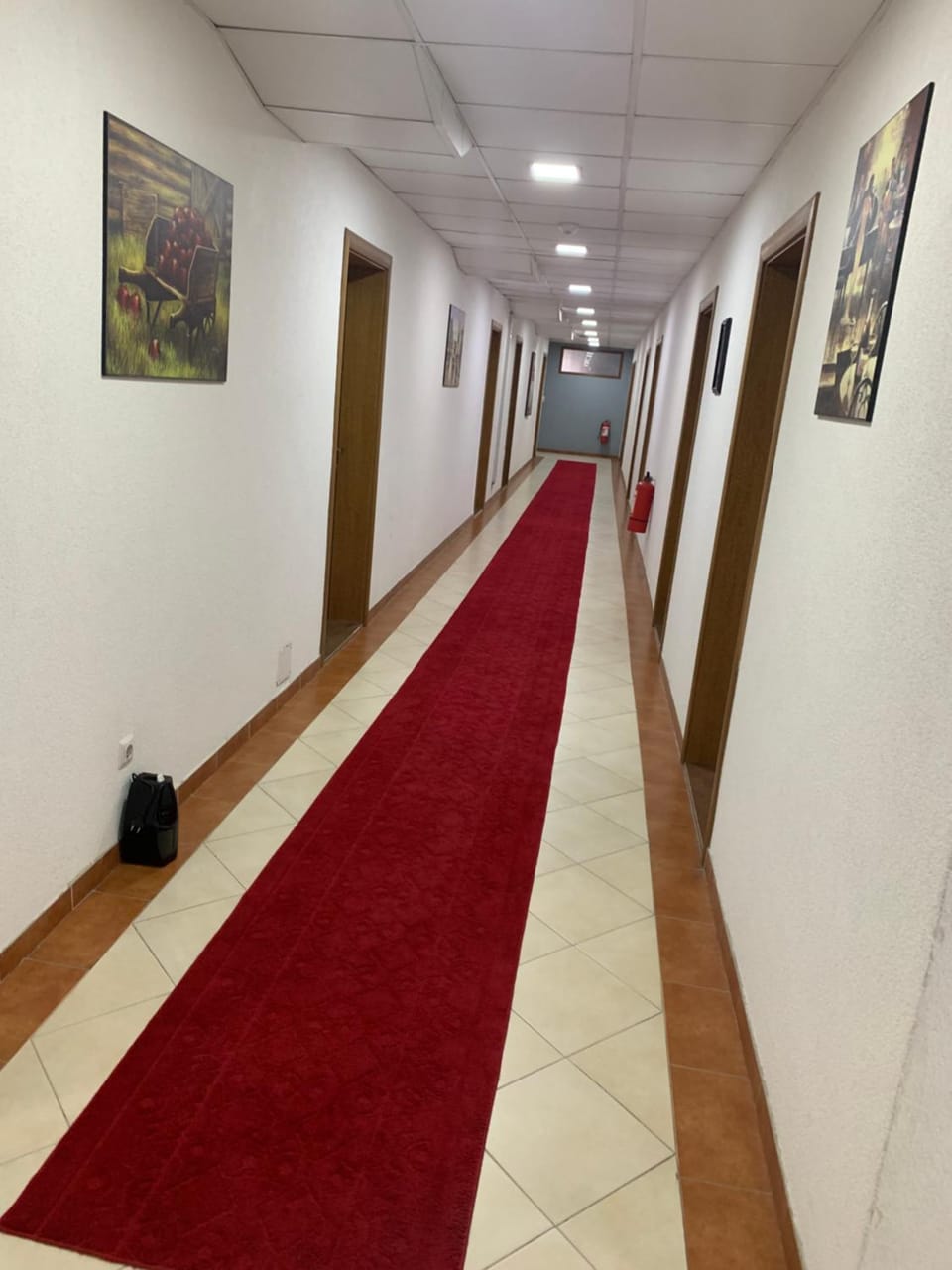 Hotel Albatros Hotel in North Macedonia