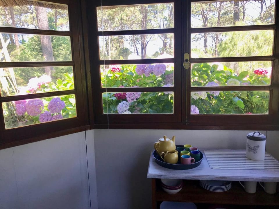Natural landscape, Dining area