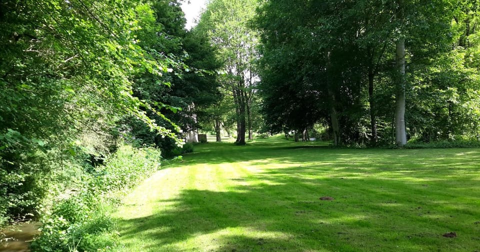 Natural landscape