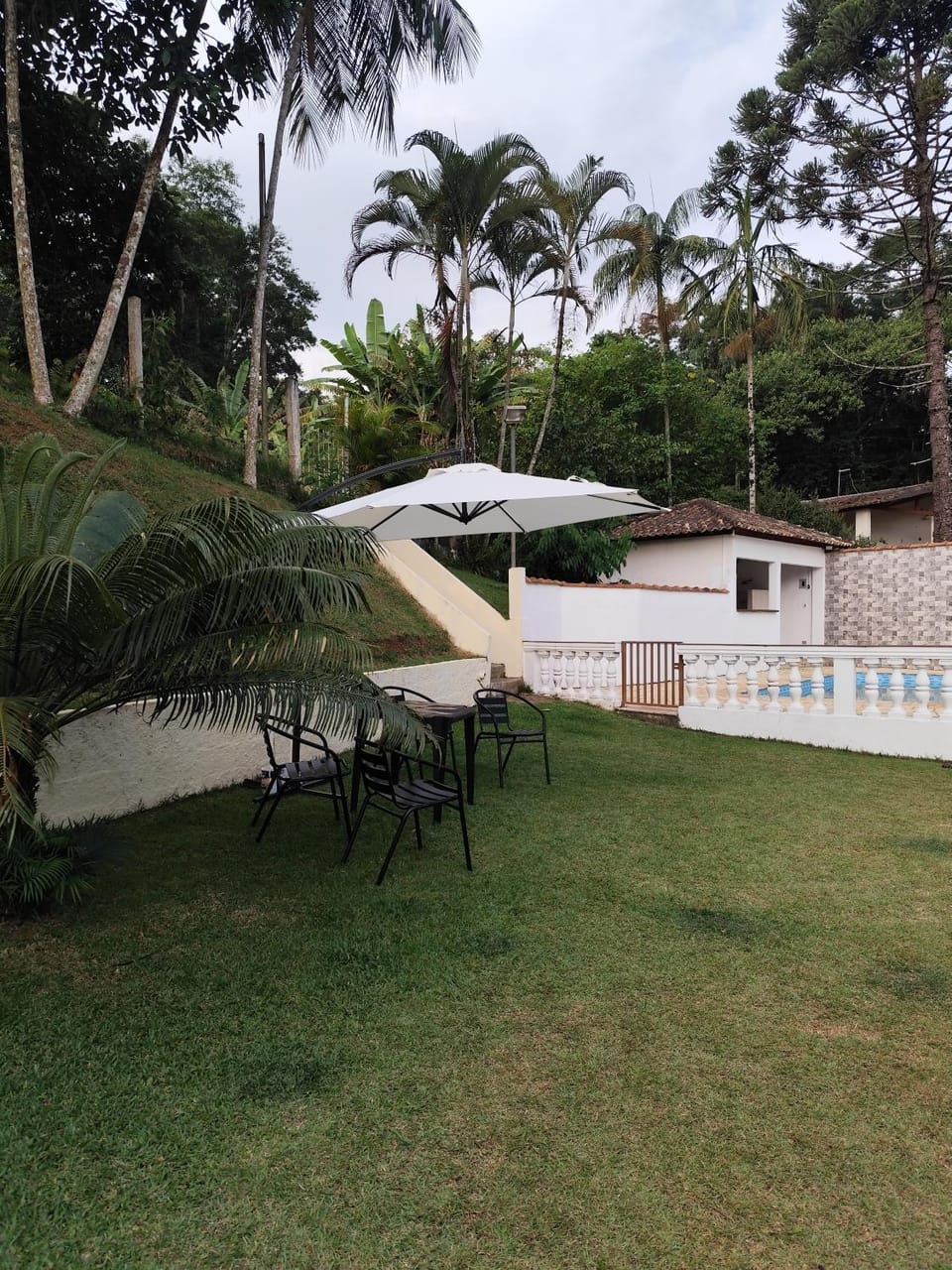 Garden, Garden view, Pool view