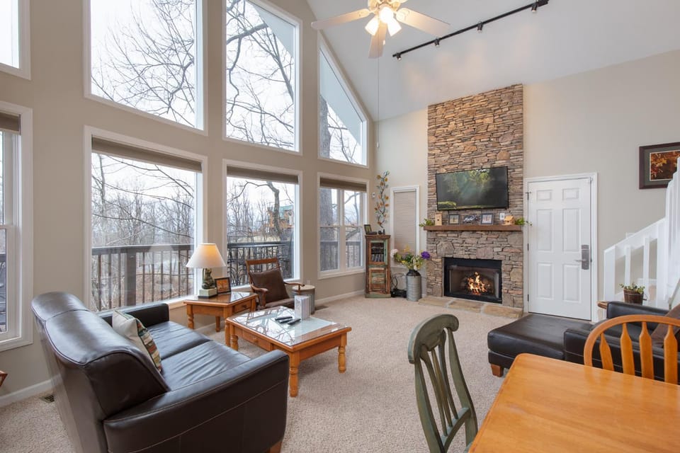 Natural landscape, TV and multimedia, Living room, Seating area, fireplace, furniture