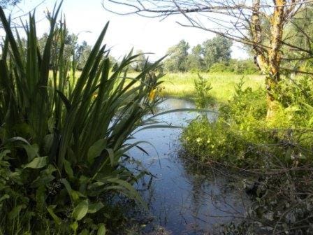 Nearby landmark, Natural landscape, Activities, View (from property/room), Other, Cycling, Garden view, Landmark view, River view, Sports