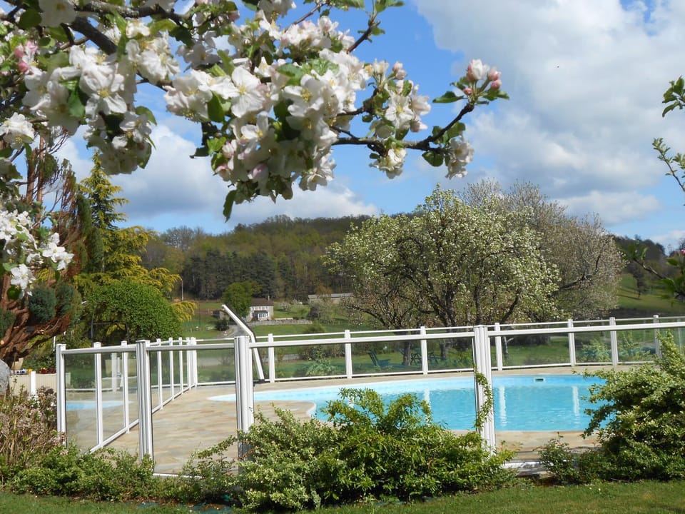 Natural landscape, Garden, Pool view, Swimming pool
