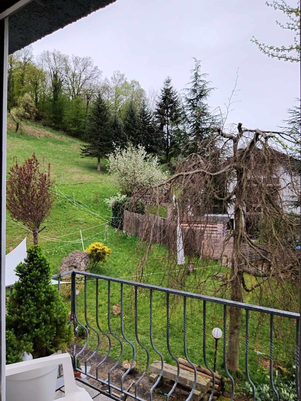 Garden view
