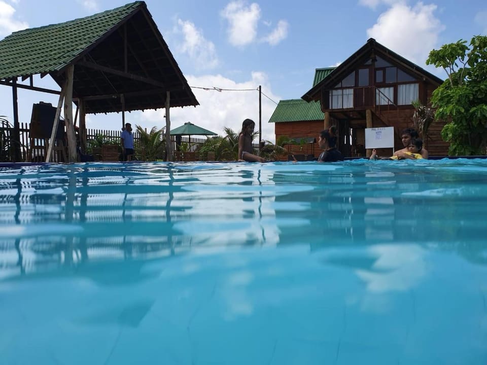 Swimming pool, Swimming pool