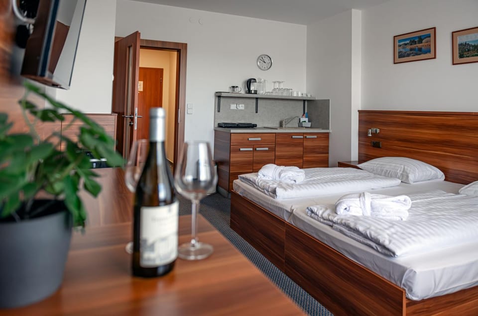 Lipno Wellness - Frymburk C 301 Apartment in South Bohemian Region