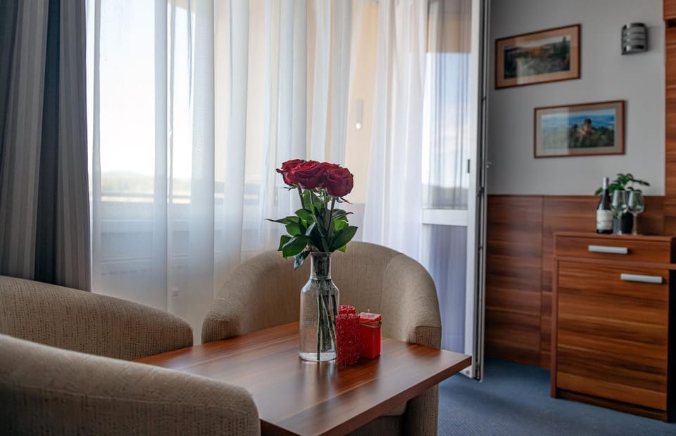 Lipno Wellness - Frymburk C 301 Apartment in South Bohemian Region
