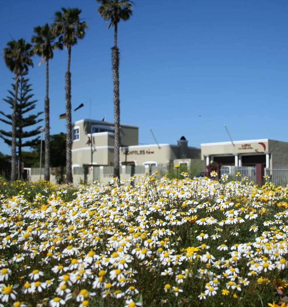 Property building, Natural landscape